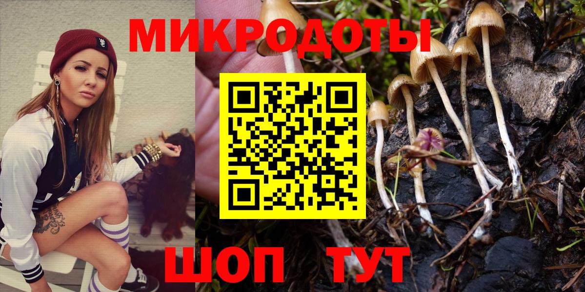 Галлюциногенные грибы GOLDEN TEACHER  Псилоцибиновые грибы мухоморы  Киселёвск  где купить   Вход с VPN 